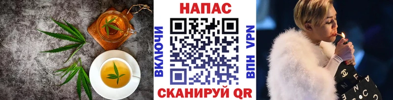 omg рабочий сайт закладка Александровское Cannafood марихуана