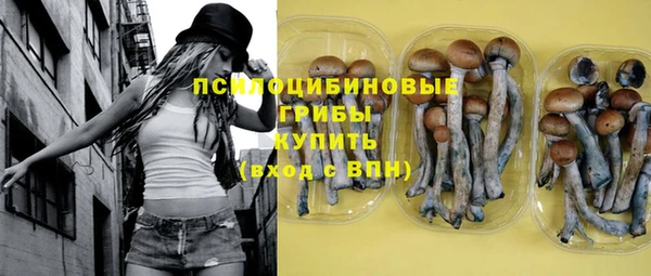 спайс Козловка